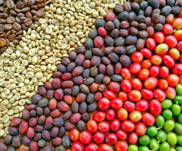 From Bean to Brew: The Fascinating Journey of Coffee